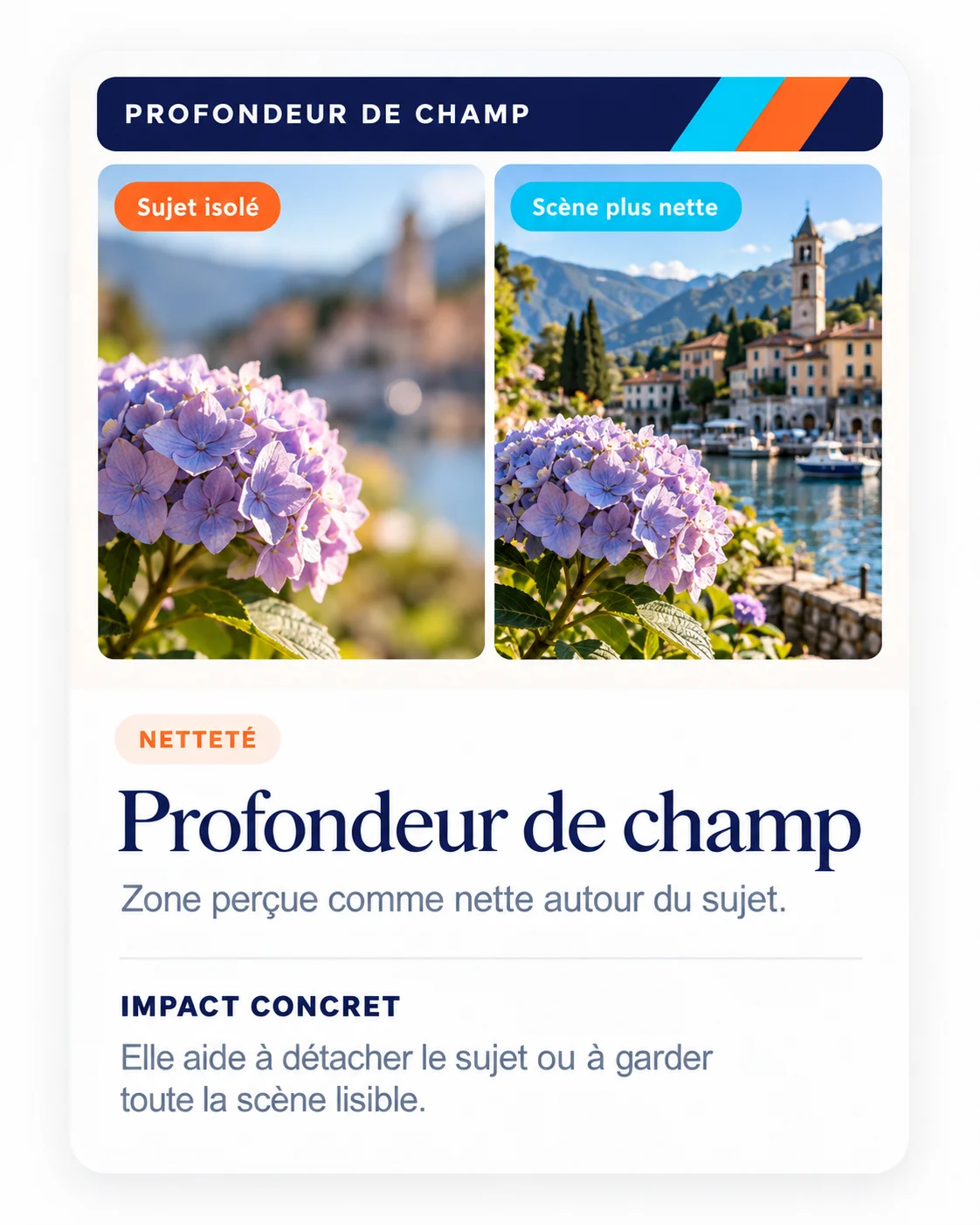 Illustration pédagogique : Profondeur de champ : comment la comprendre et la contrôler